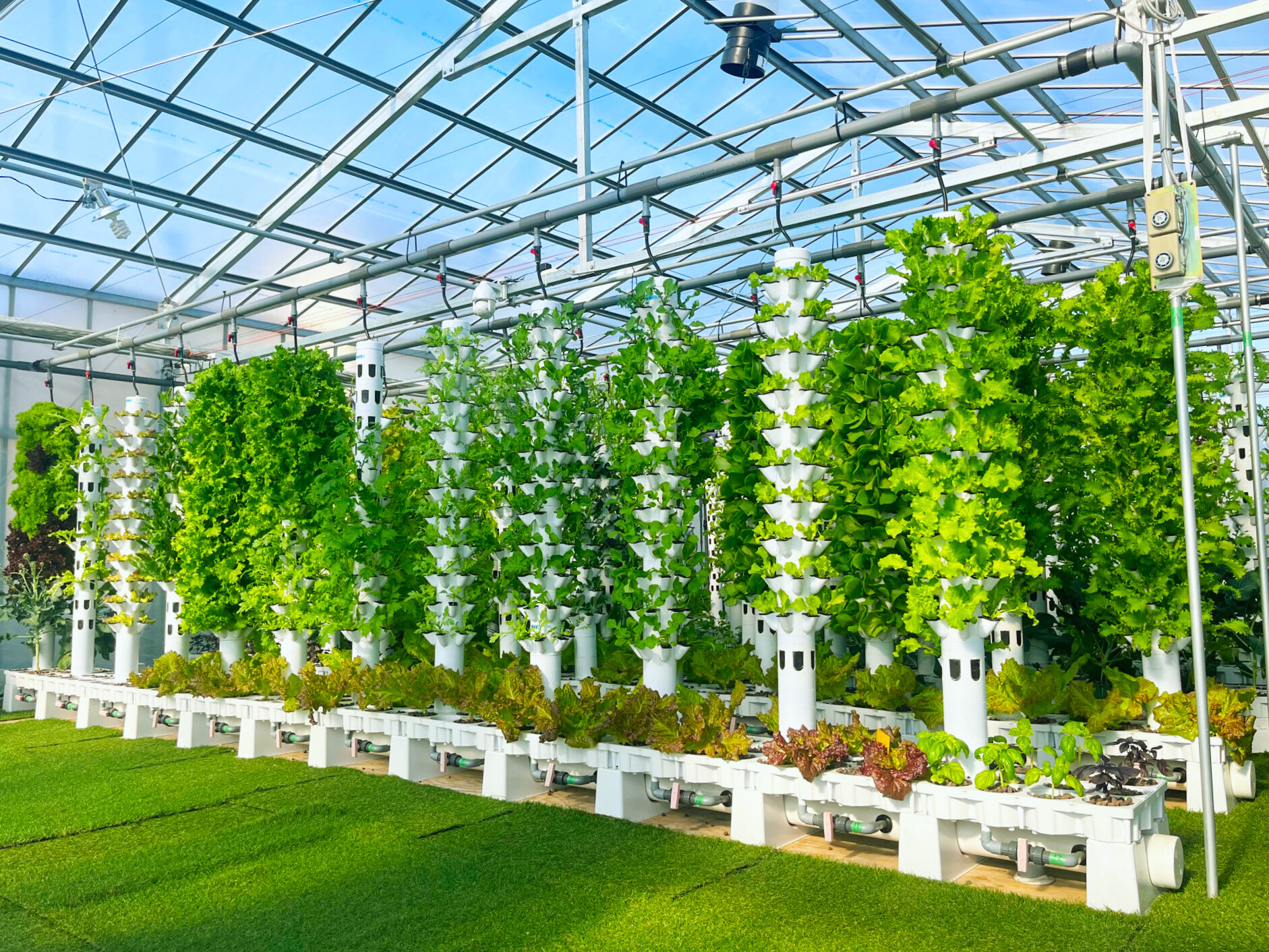 株式会社アクポニ】新規就農者に支持される革新的ビジネスの市場性とは