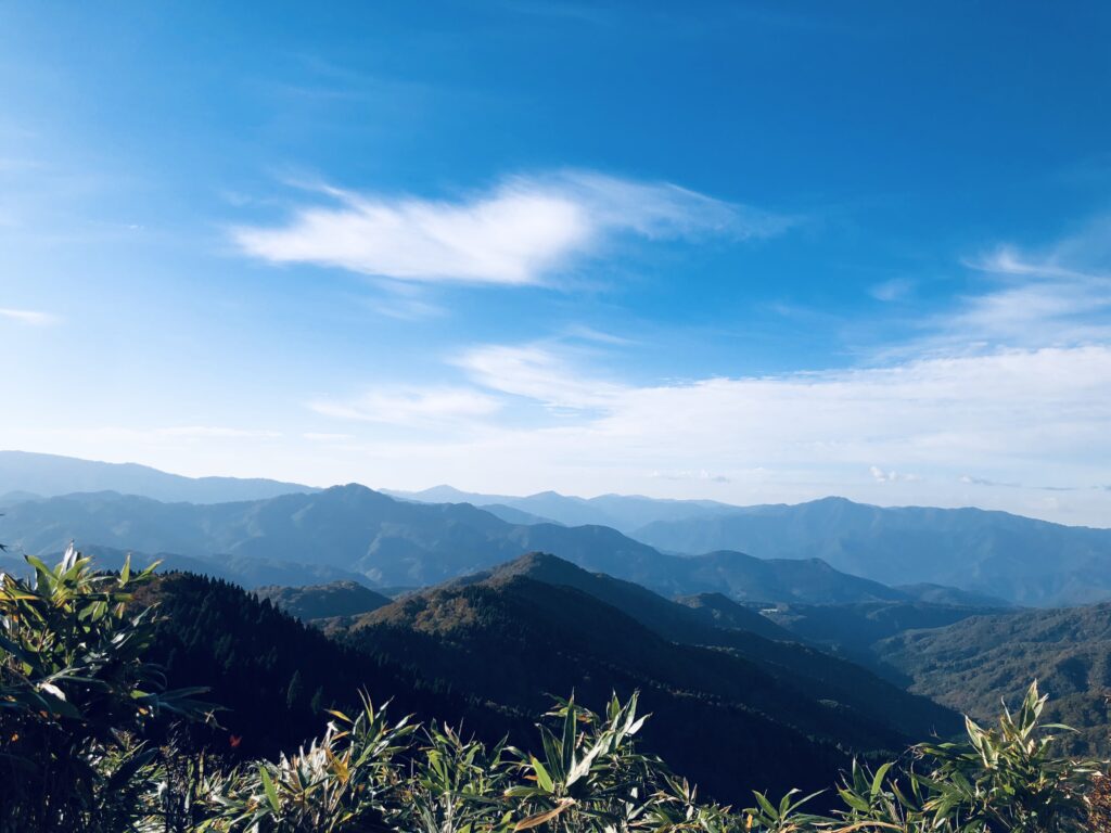 八東ふるさとの森