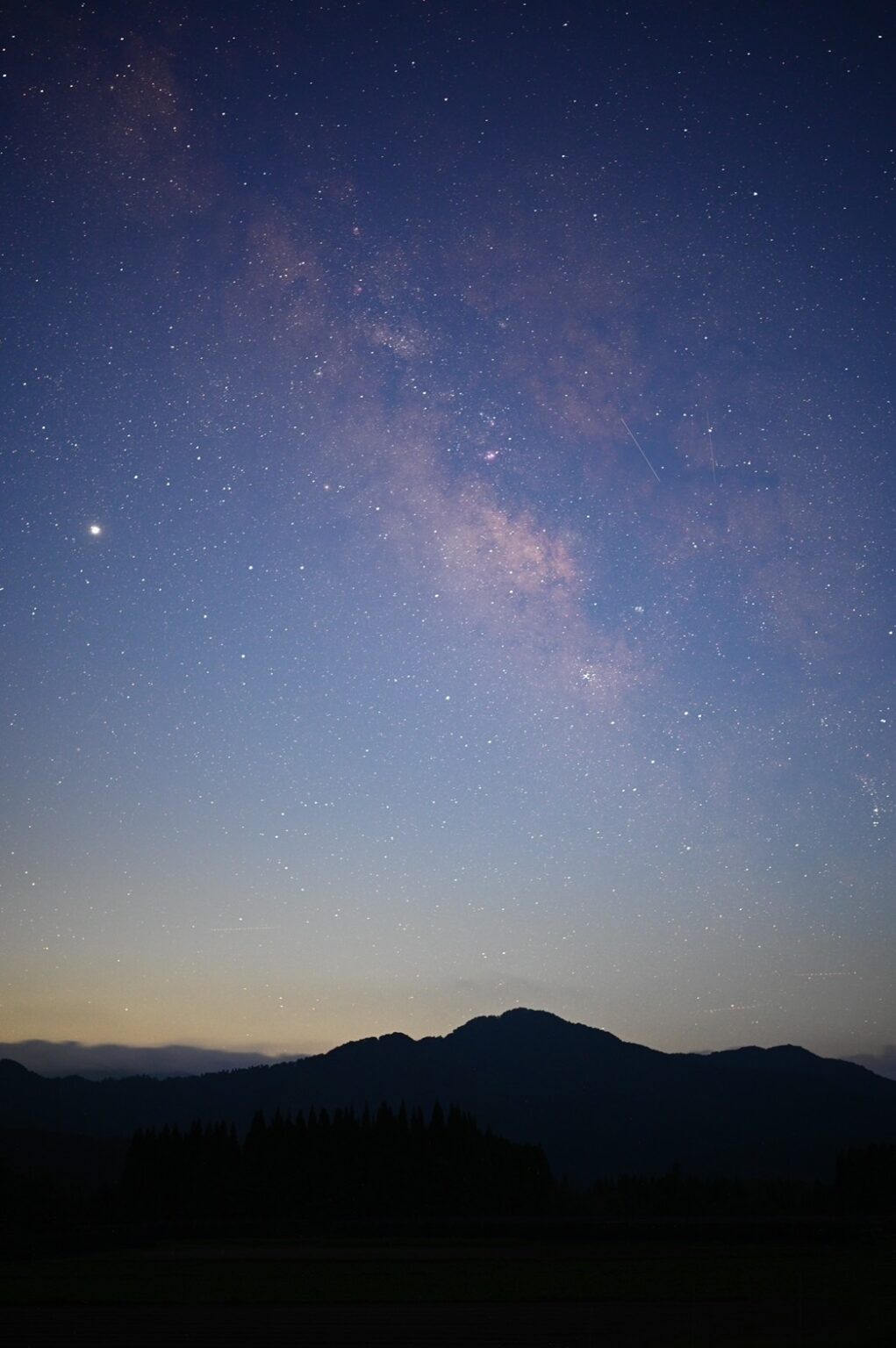 八東ふるさとの森