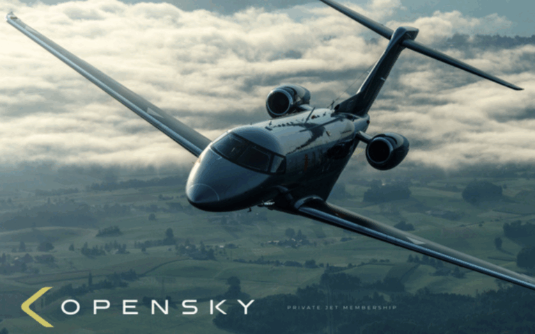 株式会社OpenSky｜採用 の事例
